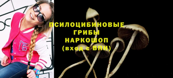 хмурый Абаза