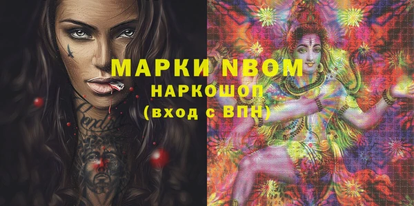 хмурый Абаза