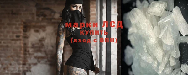 хмурый Абаза