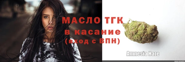 хмурый Абаза