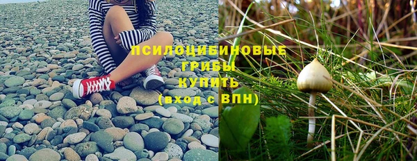 хмурый Абаза