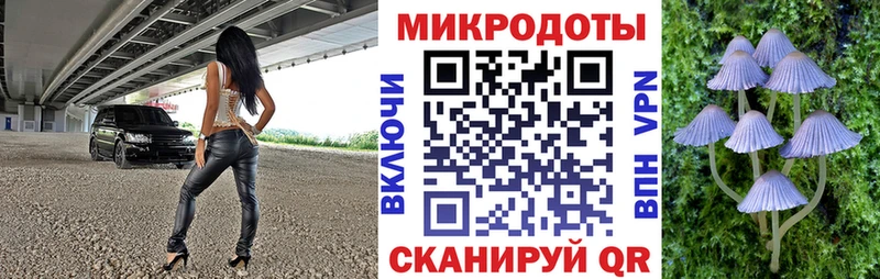 купить Солигалич Галлюциногенные грибы Psilocybine cubensis